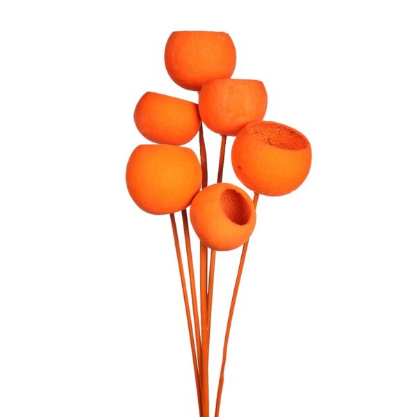 BELL CUP Ø5CM, 6 PCS, ALT 60CM - Imagen 3