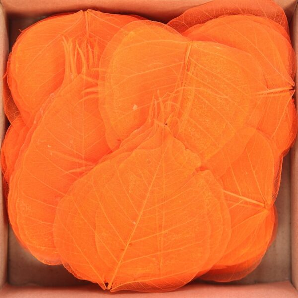 HOJAS SKELETOR 200 PCS, Ø 10CM - Imagen 1