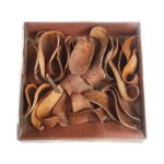 CUCHARA CORTEZA NATURAL CAJA 30 UNIDADES APROX