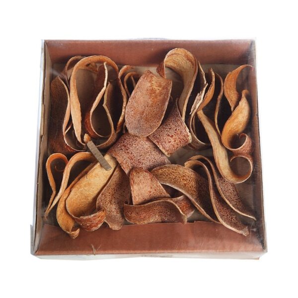 CUCHARA CORTEZA NATURAL CAJA 30 UNIDADES APROX - Imagen 1