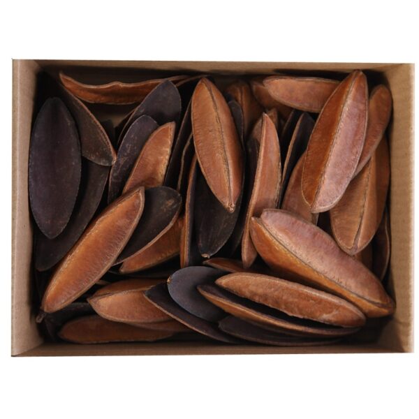 S234_0 HOJAS BEAN SECAS 50UD - Imagen 1