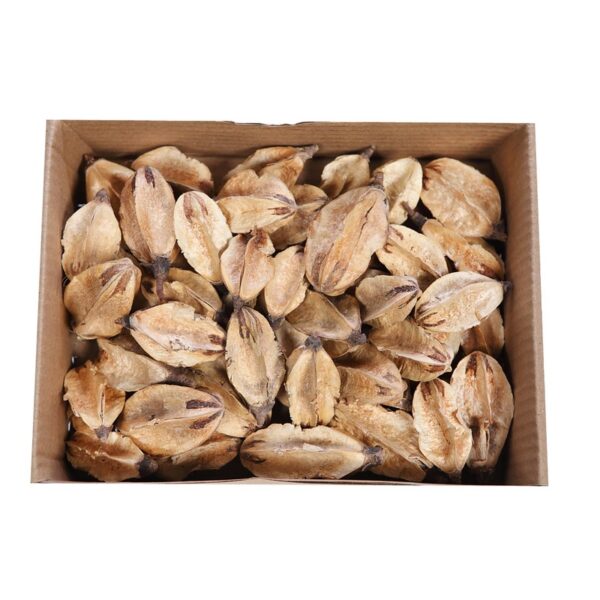 CAJA 50UD FRUTOS LILIS LOOSE - Imagen 1