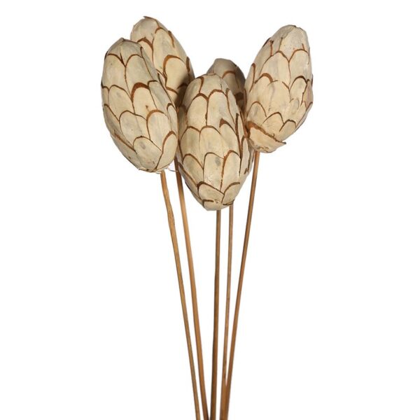 SOLA CHIP PINE LARGE X5 65CM - Imagen 2