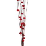 COCO PARAS X15 104CM - Imagen 2