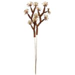 SOLA HALDER TREE ON STEM 2UD 70CM