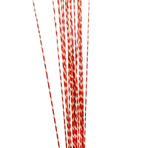 STICK GOLDEN RAFFIA SPIRAL X20 100CM - Imagen 2