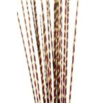 STICK GOLDEN RAFFIA SPIRAL X20 100CM - Imagen 8