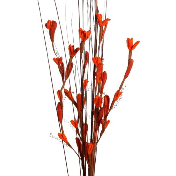 TIN MAIZE RUD STICK SPECIAL COMBO 100CM - Imagen 8