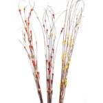 COCO MAIZE (3IN1) 15UD 100CM - Imagen 3