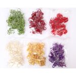 RATAN ESPIRAL BOLSA 12UD 6CM - Imagen 2