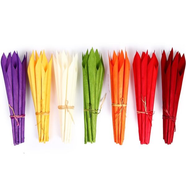 CALA SECA 38 CM POMO DE 12 PCS - Imagen 2