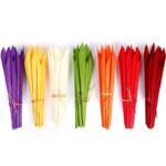 CALA SECA 38 CM POMO DE 12 PCS - Imagen 5