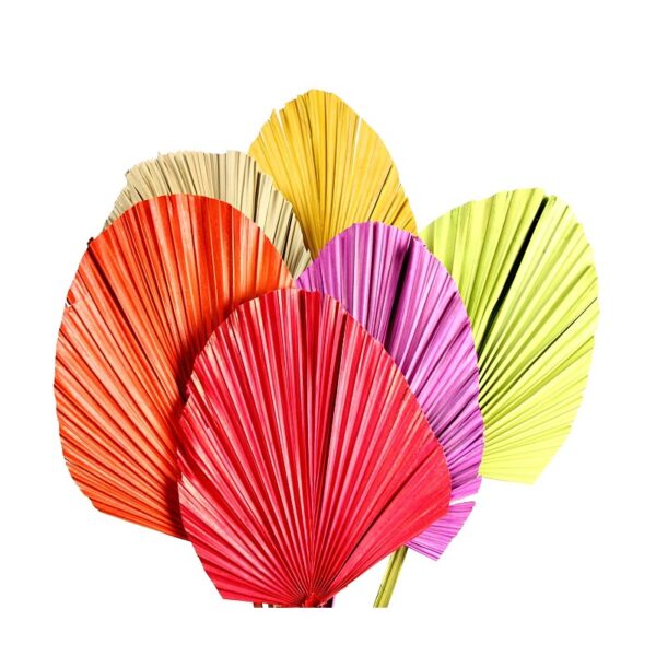 HOJA DE PALMA 5UD 85CM - Imagen 2
