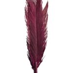 ATADO 6 HOJAS MEXICANA 175CM - Imagen 4