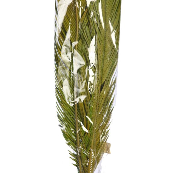 ATADO 6 HOJAS MEXICANA 175CM - Imagen 5