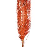 ATADO 6 HOJAS MEXICANA 175CM - Imagen 6