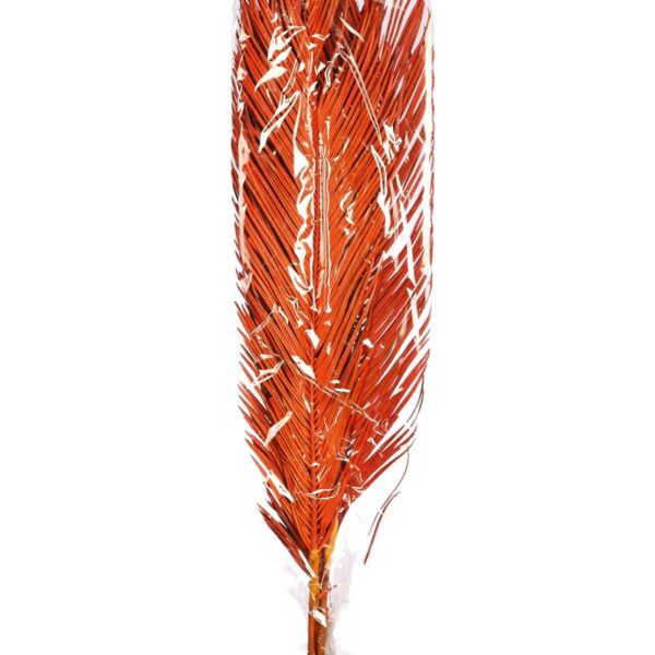 ATADO 6 HOJAS MEXICANA 175CM - Imagen 6