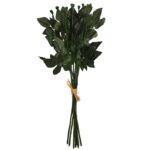 TALLOS DE ROSA X12 60CM