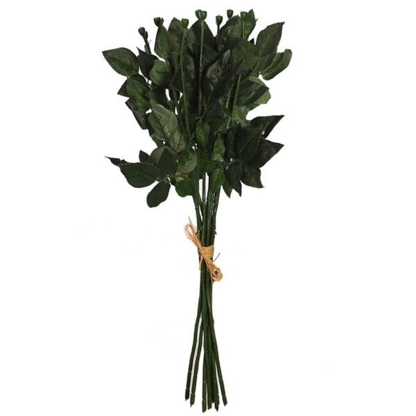 TALLOS DE ROSA X12 60CM - Imagen 1