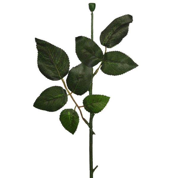 TALLOS DE ROSA X12 60CM - Imagen 3