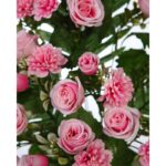 RAMO ROSAS MINI ARTIFICIAL 55CM - Imagen 8