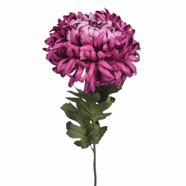 VARA CRISANTEMO GIGANTE 80CM - Imagen 6