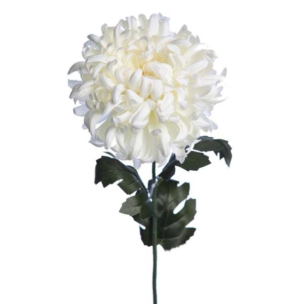 VARA CRISANTEMO GIGANTE 80CM - Imagen 2