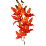 VARA DE ORQUIDEA 72CM - Imagen 4