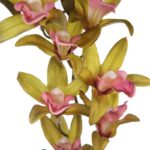 VARA DE ORQUIDEA 72CM - Imagen 8