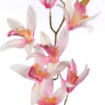 VARA DE ORQUIDEA 72CM - Imagen 6