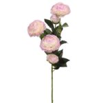 VARA DE RANUCULO 73CM - Imagen 3