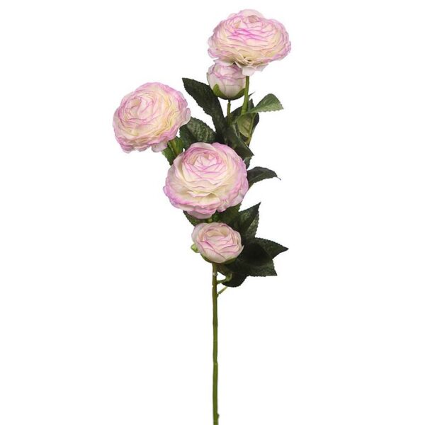 VARA DE RANUCULO 73CM - Imagen 3