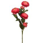 VARA DE RANUCULO 73CM - Imagen 5