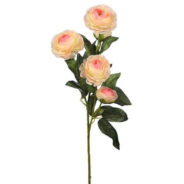 VARA DE RANUCULO 73CM Y0111-3 VARA DE RANUCULO 73CM - Imagen 1