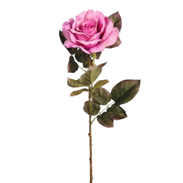 VARA DE ROSA - Imagen 2