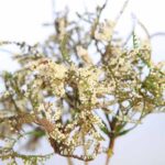 VARA DE TATARICA ARTIFICIAL 42CM - Imagen 4