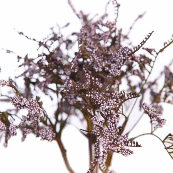 VARA DE TATARICA ARTIFICIAL 42CM - Imagen 2