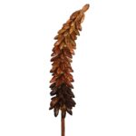 VARA EXOTICA SECO 75CM - Imagen 6