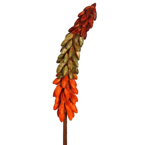 VARA EXOTICA SECO 75CM - Imagen 4