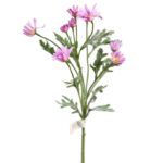 VARA MARGARITA ASTER, 45 CM