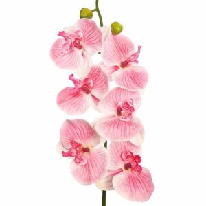 VARA ORQUIDEA NATURE 80CM