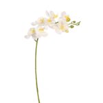 VARA ORQUIDEA - Imagen 3