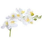 VARA ORQUIDEA - Imagen 4