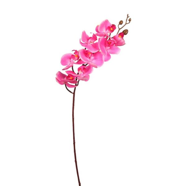 VARA ORQUIDEA Y0191 VARA ORQUIDEA - Imagen 1