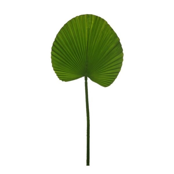 WT0531_0 HOJA PALMITO ARTIFICIAL 54CM - Imagen 1