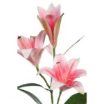 VARA LILIUM ARTIFICIAL 70CM - Imagen 4