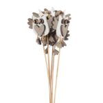 PICK MADERA BUHO BOLSA 6UD - Imagen 3