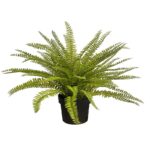 PLANTA DE HELECHO EN MACETA 45CM