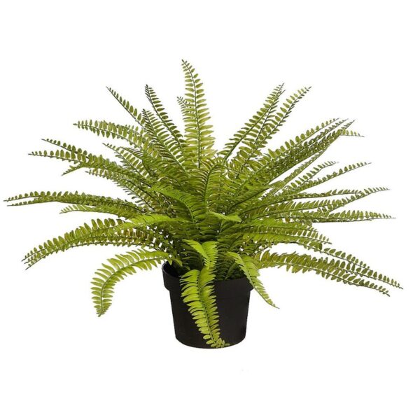 PLANTA DE HELECHO EN MACETA 45CM - Imagen 1