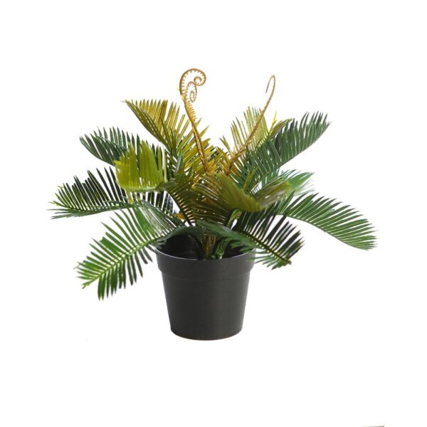 PLANTA CYCA EN MACETA - Imagen 1